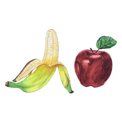 Fruit Watercolor Illustration