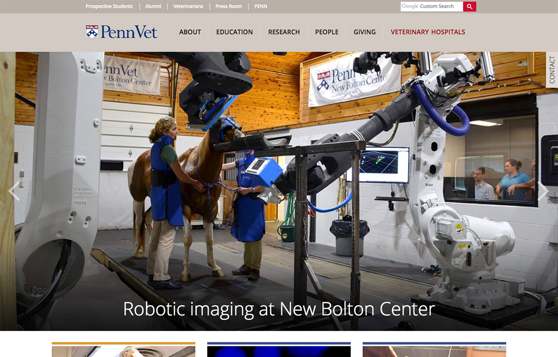 University of Pennsylvania, School of Veterinary Medicine Website Design