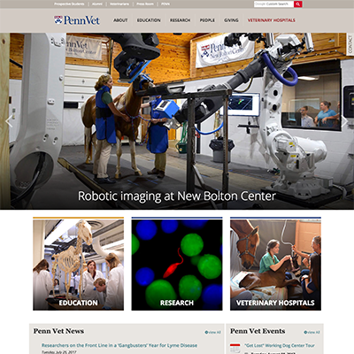 University of Pennsylvania, School of Veterinary Medicine Website Design